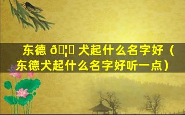 东德 🦆 犬起什么名字好（东德犬起什么名字好听一点）